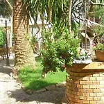 מלון Alexander & 3*