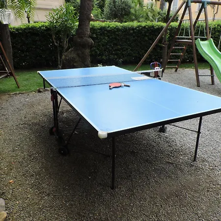 Alexander & 圣雷默