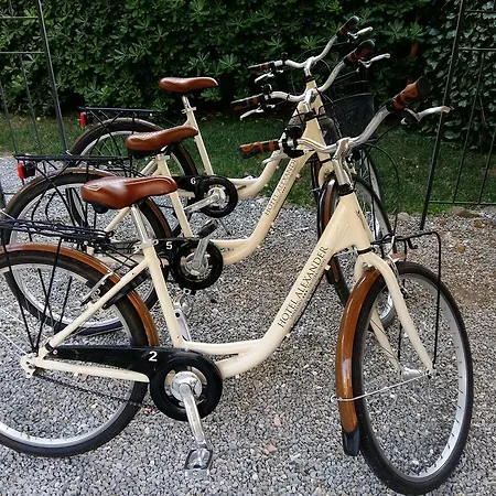 Alexander & 圣雷默